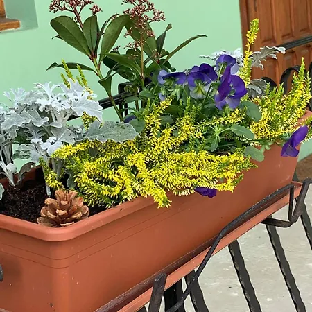 La Houblonniere 3* Blâmont