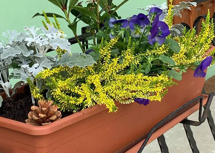 La Houblonniere 3* Blâmont